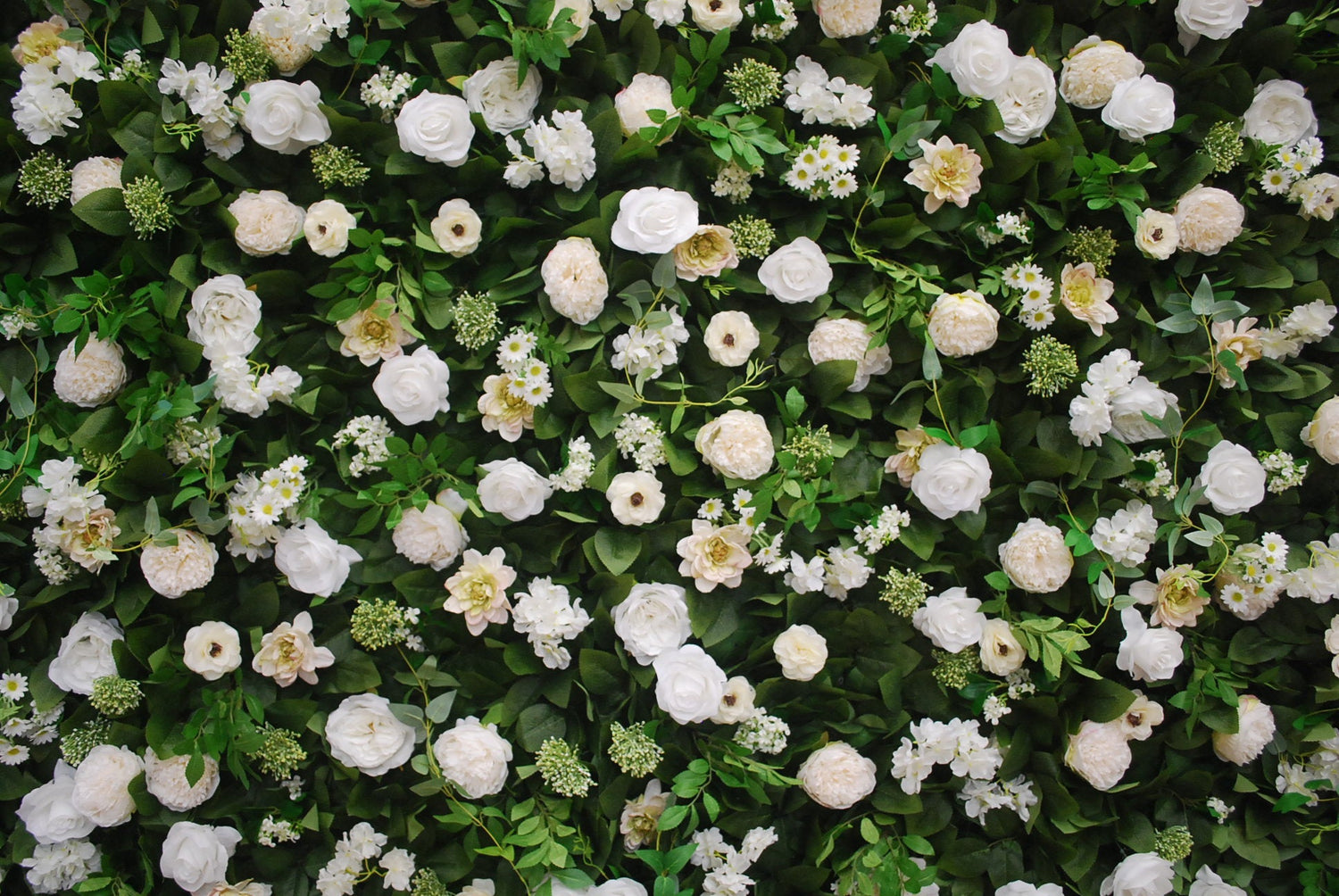 GREEN & WHITE