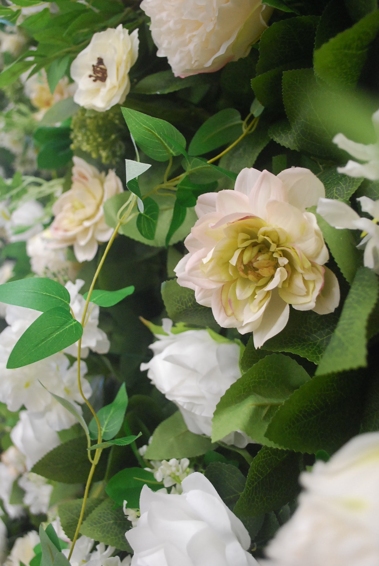 The Lottie Premium Flower Wall